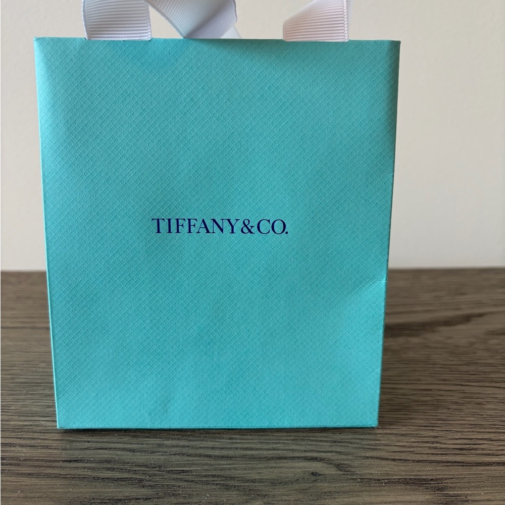 Tiffany & Co. Aqua Blue Shopping Bag with White Ribbon